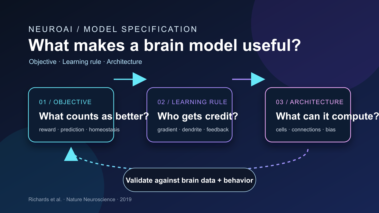 大腦不是在跑 PyTorch：讀〈A deep learning framework for neuroscience〉